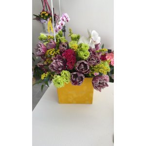 Aranjament cu lalele duble