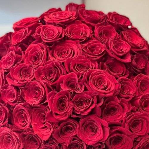 Buchet cu 101 trandafiri rosii AMOR DE MI VIDA 101