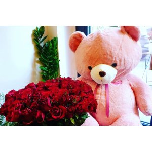 Urs de plus gigant roz