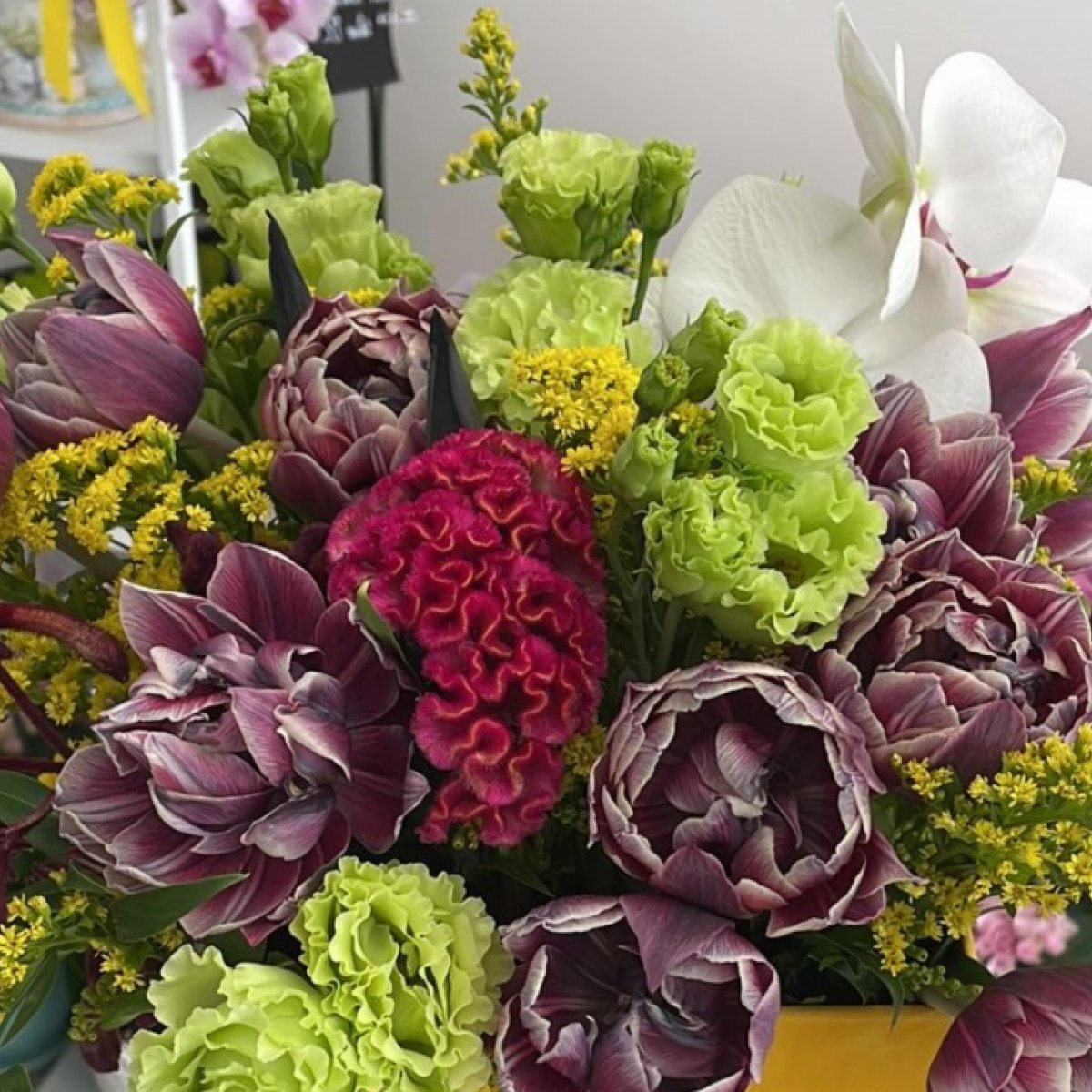 Aranjament cu lalele duble