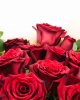 Buchet trandafiri Amor 21