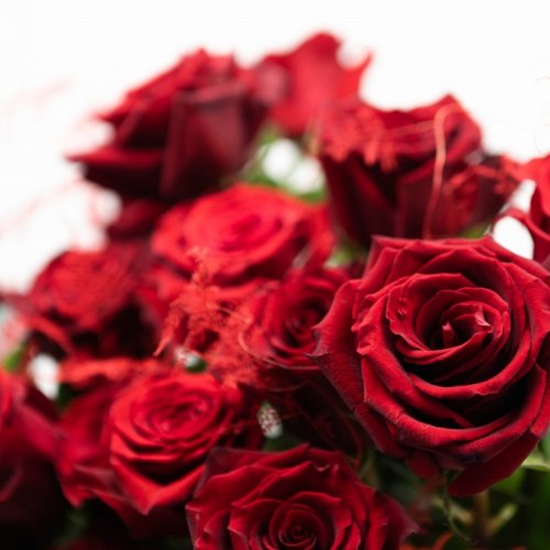Cutie cu trandafiri rosii AMOR BOX 21
