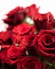 Cutie cu trandafiri rosii AMOR BOX 21