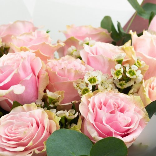 Buchet cu trandafiri roz SUEÑO 15