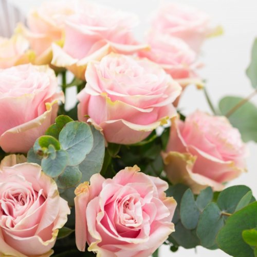 Cutie cu trandafiri roz SUEÑO BOX 15